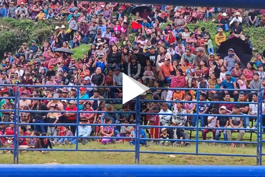 Ver video