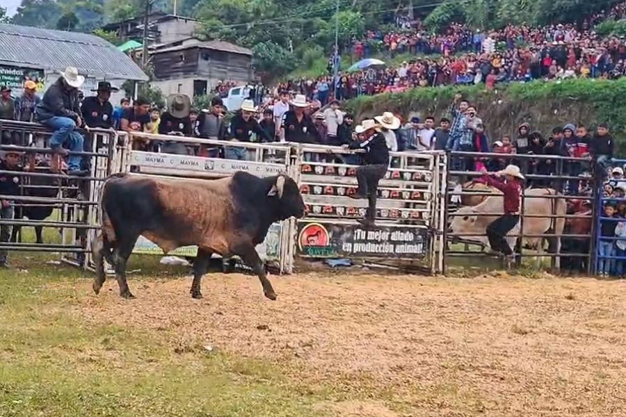 Show de los Reyes del Rodeo, Jaripeo Música y concursos Vaqueros ...