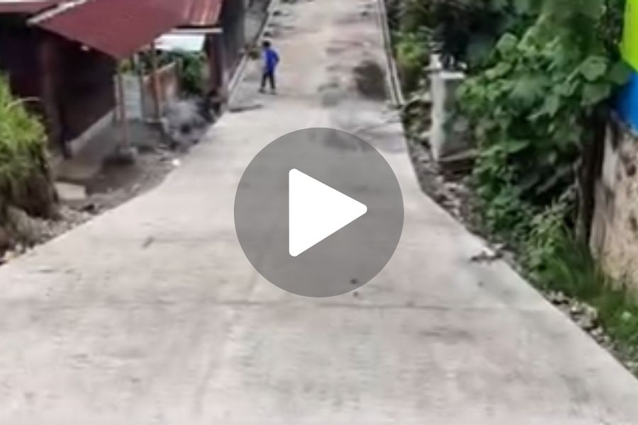 Ver video