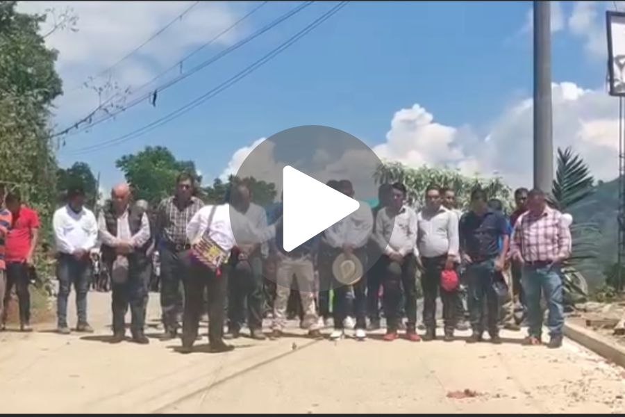 Ver video