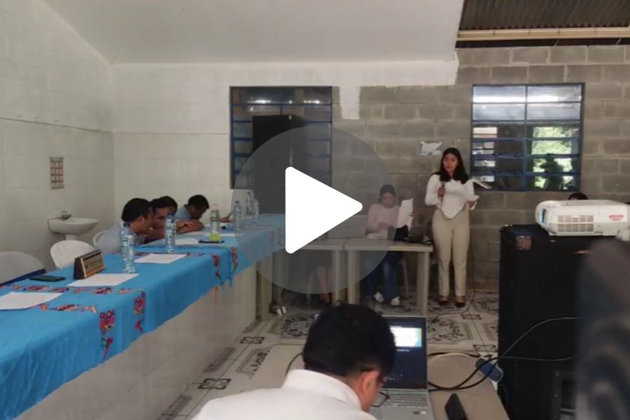 Ver video